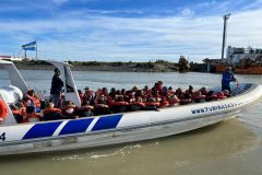 avistaje_de_toninas_overas_Delfin_patagonico-14