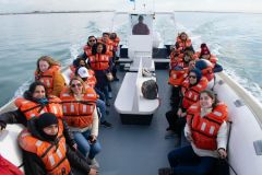 avistaje_de_toninas_overas_Delfin_patagonico-18