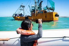 avistaje_de_toninas_overas_Delfin_patagonico-21