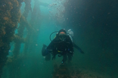 DCIM\100GOPRO\G0041478.JPG
