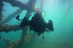 DCIM\100GOPRO\GOPR1100.JPG