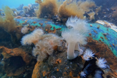 DCIM\100GOPRO\GOPR7914.JPG