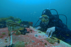 DCIM\100GOPRO\GOPR8085.JPG