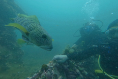 DCIM\100GOPRO\G0074892.JPG