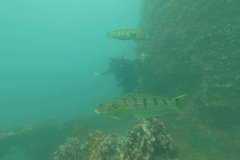 DCIM\100GOPRO\G0164863.JPG