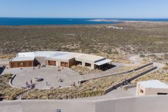 Punta-Tombo-Lisandro-Crespo-04-scaled