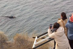 experiencia_doradillo_puerto_madryn-5