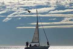 madryn-a-vela-3