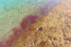 pesca_con_mosca-1