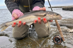 pesca_con_mosca-11