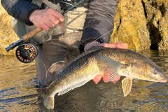 pesca_con_mosca-12