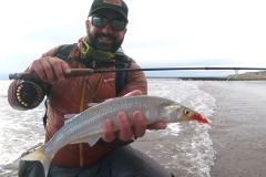 pesca_con_mosca-3