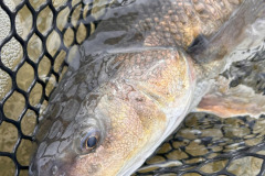 pesca_con_mosca-7