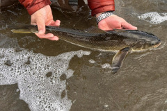 pesca_con_mosca-9