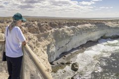 punta_loma_loberia-4
