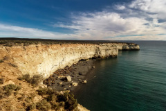 punta_loma_loberia-6
