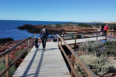 punta_tombo_clasico-2