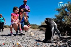 punta_tombo_clasico-7