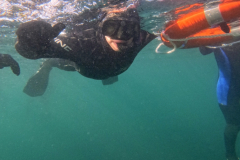 DCIM\100GOPRO\G0233748.JPG