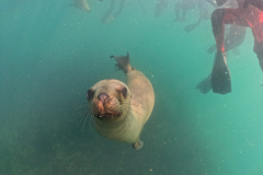 DCIM\100GOPRO\G0612179.JPG