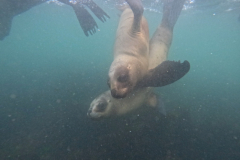 DCIM\100GOPRO\G0147644.JPG